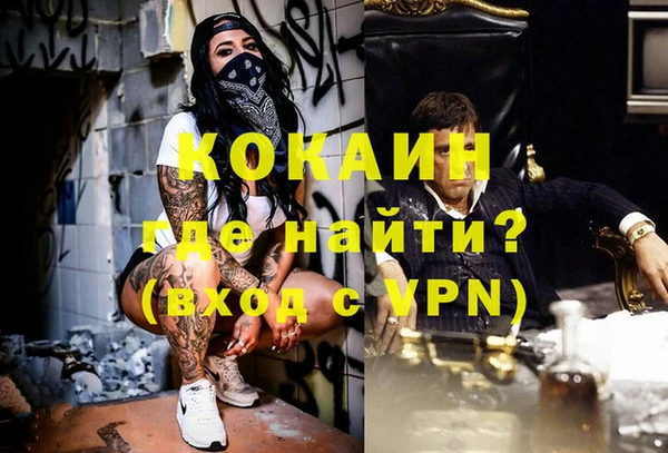 стаф Арсеньев
