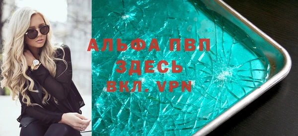 стаф Арсеньев