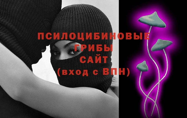 стаф Арсеньев