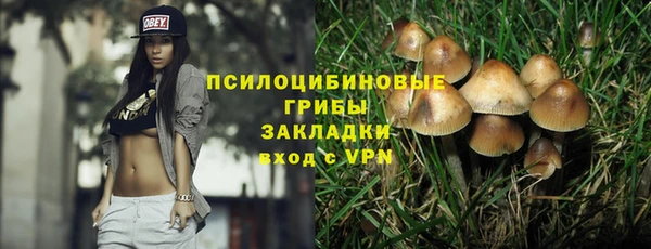 стаф Арсеньев