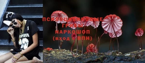 стаф Арсеньев
